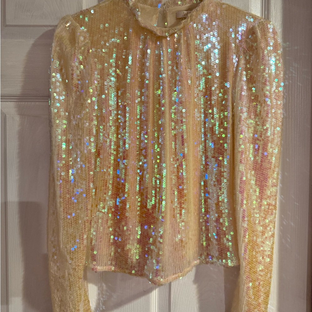Wayf Iridescent Sequin Lace Top